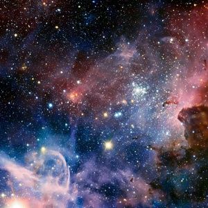 Meet your Posher, Zach